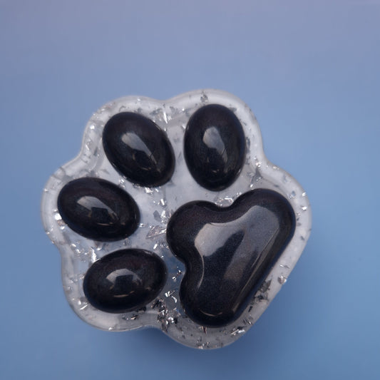 Caixa Decorativa em Resina – Pata Preto e Prateado